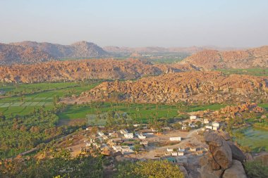 Hampi köyünde yeşil pirinç tarlaları veya teraslar. Palmiye ağacı