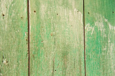 Ahşap arka plan. Doğal ağaçtaki yeşil arka plan. Ahşap 