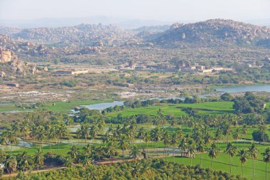 Yeşil pirinç tarlaları, palmiye ve nehir Tungabhadra köyünde