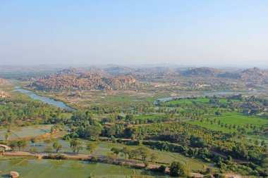 Yeşil pirinç tarlaları, palmiye ve nehir Tungabhadra köyünde