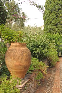 Parkta Büyük Seramik Terracotta Pot. Ta Botanik Bahçesi