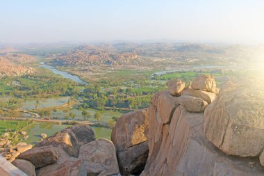 Yeşil pirinç tarlaları, palmiye ve nehir Tungabhadra köyünde