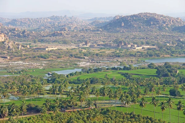 Green rice fields, palms and river Tungabhadra in the village of