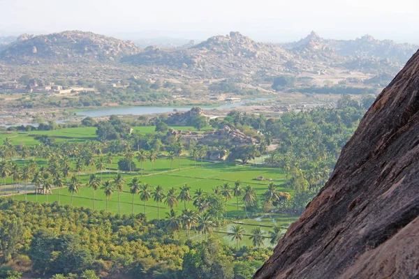 Green rice fields, palms and river Tungabhadra in the village of