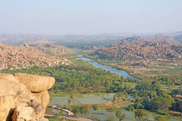 Green rice fields, palms and river Tungabhadra in the village of