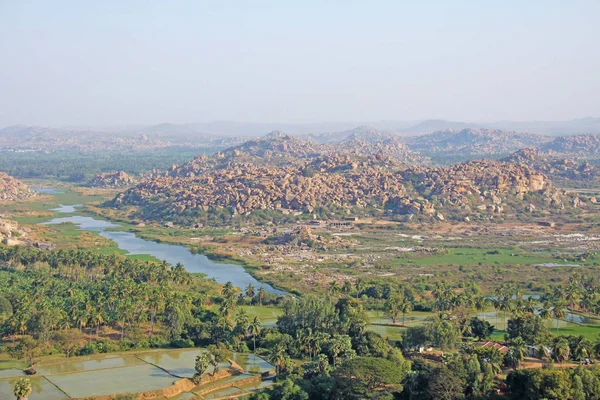 Yeşil pirinç tarlaları, palmiye ve nehir Tungabhadra köyünde