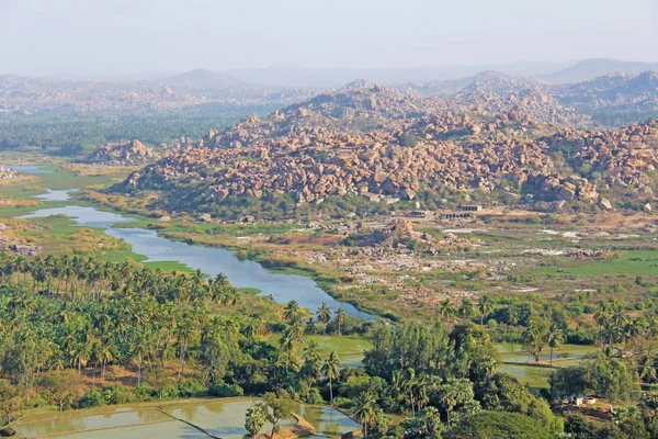 Yeşil pirinç tarlaları, palmiye ve nehir Tungabhadra köyünde