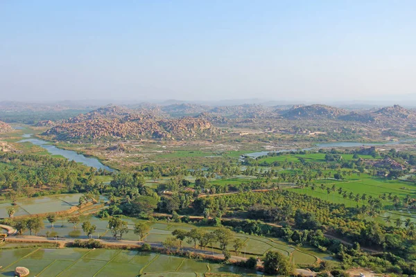 Yeşil pirinç tarlaları, palmiye ve nehir Tungabhadra köyünde