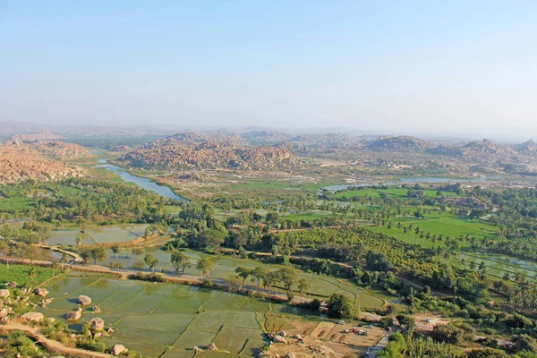 Green rice fields, palms and river Tungabhadra in the village of