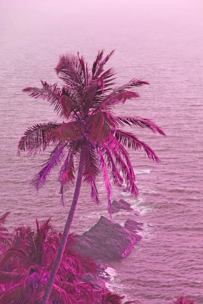 Roze Palm bomen silhouetten tegen pastel zonsondergang op een lichte PIN — Stockfoto