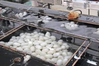 Çin ipek fabrikası