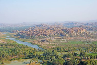 Yeşil pirinç tarlaları, palmiye ve nehir Tungabhadra köyünde