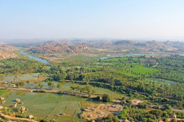 Yeşil pirinç tarlaları, palmiye ve nehir Tungabhadra köyünde