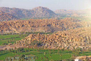 Hampi köyünde yeşil pirinç tarlaları veya teraslar. Palmiye ağacı