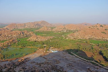 Hampi köyünde yeşil pirinç tarlaları veya teraslar. Palmiye ağacı