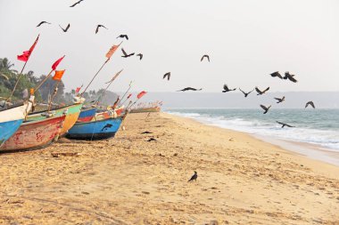 Kara karga sürüsü denize uçar, bir arka plan karşı