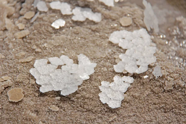 Pieces of salt lie on the sand. Macro. Lake Baskunchak, Russia — Stock Photo, Image