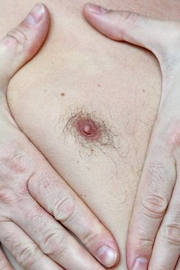 Erkek kıllı meme. Saçlı meme. Kolay erotik ve mizah. Zekâ