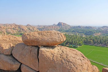 Hampi köyünde yeşil pirinç tarlaları veya teraslar. Palmiye ağacı