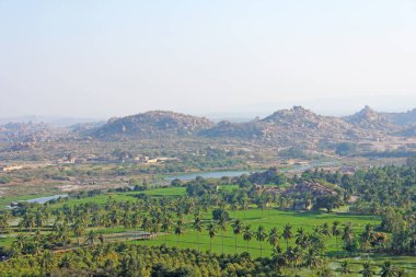 Yeşil pirinç tarlaları, palmiye ve nehir Tungabhadra köyünde