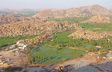 Hampi köyünde yeşil pirinç tarlaları veya teraslar. Palmiye ağacı
