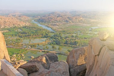 Yeşil pirinç tarlaları, palmiye ve nehir Tungabhadra köyünde