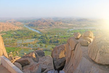 Yeşil pirinç tarlaları, palmiye ve nehir Tungabhadra köyünde