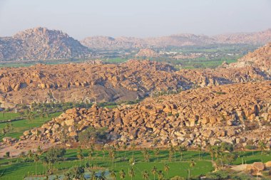 Hampi köyünde yeşil pirinç tarlaları veya teraslar. Palmiye ağacı
