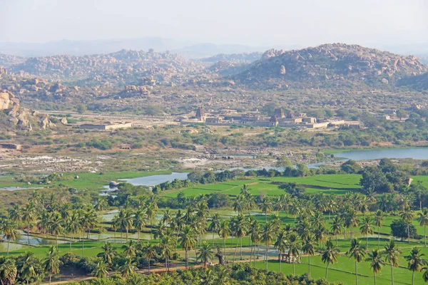 Yeşil pirinç tarlaları, palmiye ve nehir Tungabhadra köyünde