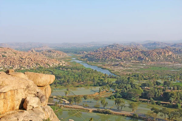 Yeşil pirinç tarlaları, palmiye ve nehir Tungabhadra köyünde
