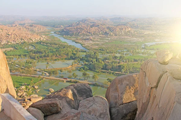 Yeşil pirinç tarlaları, palmiye ve nehir Tungabhadra köyünde