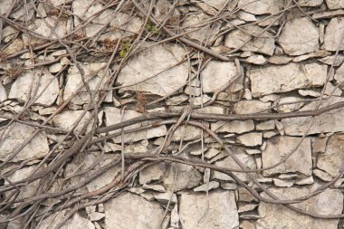 Taş arka plan. Büyük Taşlar'Dan arka plan. Bej Boş 