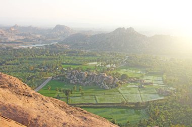 Hampi köyünde yeşil pirinç tarlaları veya teraslar. Palmiye ağacı