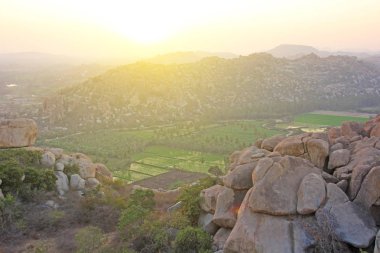 Hampi köyünde yeşil pirinç tarlaları veya teraslar. Palmiye ağacı