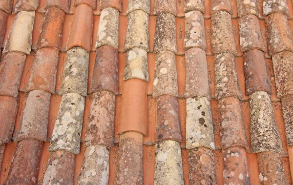 Roof of Tiles. Terracotta Old Tiles. Beige Background from Tiles