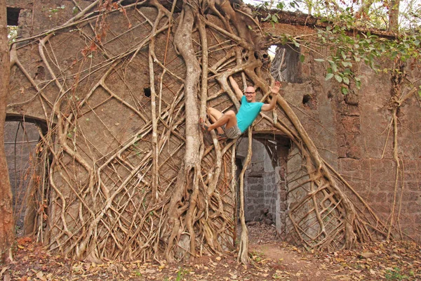인도의 붉은 요새, 고아. 뿌리와 오래된 나무의 줄기 캡처 t — 스톡 사진