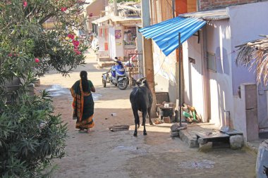 Hindistan, Hampi, 02 Şubat 2018. Sari'deki Hintli Kadın. 