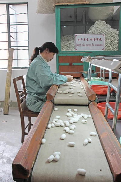 Çin, Suzhou - 16 Nisan 2012. Çin'de ipek fabrikası