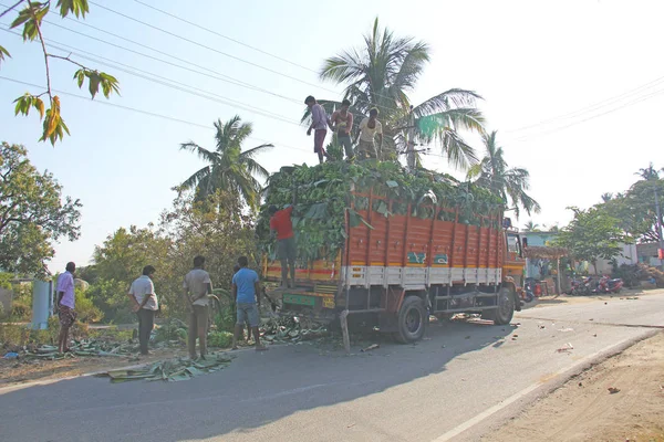 Índia, Hampi, 31 de janeiro de 2018. Homens estão carregando grande bana verde — Fotografia de Stock