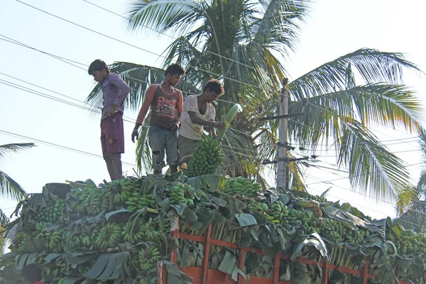 Indie, Hampi, 31. ledna 2018. Muži nakládují velkou zelenou Banu — Stock fotografie