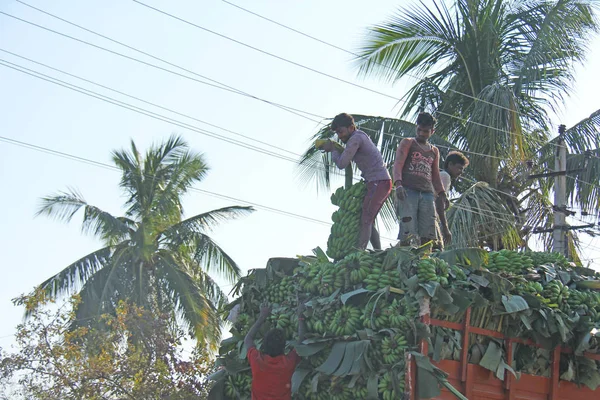 Índia, Hampi, 31 de janeiro de 2018. Homens estão carregando grande bana verde — Fotografia de Stock