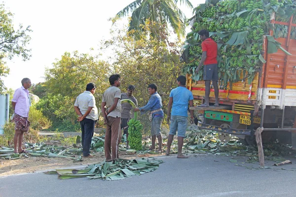 Índia, Hampi, 31 de janeiro de 2018. Homens estão carregando grande bana verde — Fotografia de Stock