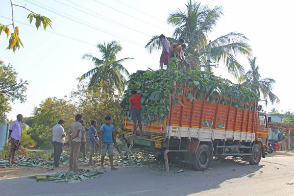 Índia, Hampi, 31 de janeiro de 2018. Homens estão carregando grande bana verde — Fotografia de Stock