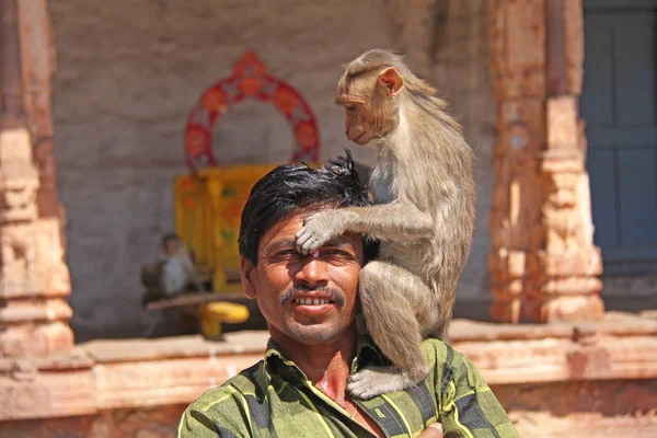 India, Hampi, 01 febbraio 2018. La scimmia siede sulla spalla — Foto Stock