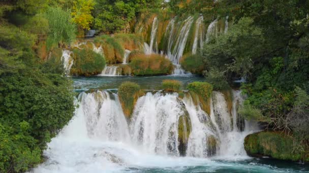 Vízesések Krka Nemzeti Park Horvátország Gyönyörű Patakok Lassan Folynak Krka — Stock videók