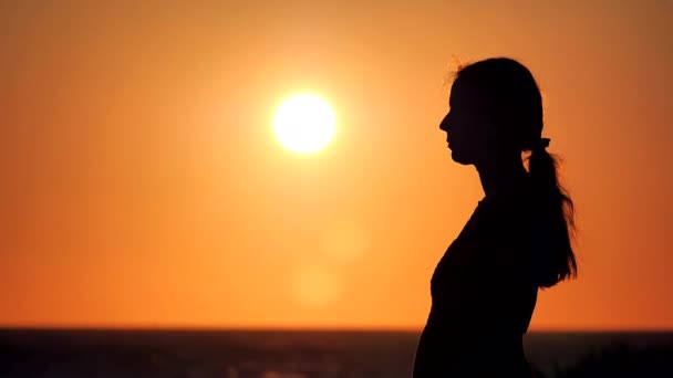 日落时女人们的轮廓 日落时的年轻女子轮廓 慢动作视频 复制空间 美丽的身材 穿着衣服 长尾巴 美丽的夕阳西下 — 图库视频影像