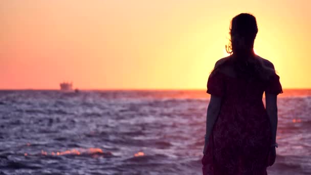 日落或黎明时分 在阳光 天空和大海的映衬下 纤细少女的轮廓 一个穿着长发衣服的女孩背着她站在那里观看日落 头发在风中飘扬 — 图库视频影像