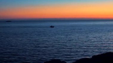 Bitkilerin, çimenlerin, çiçeklerin ve yaprakların siluetleri günbatımı gökyüzünün arka planında. Karanlık manzara. Denizde gün batımı. Hırvatistan. Gün batımlı güzel bir deniz akşamı videosu.