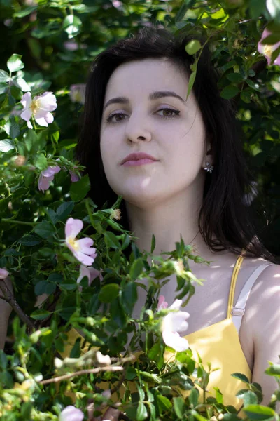 Mulher morena jovem atraente em camiseta amarela. em um arbusto cheio de floweers. espaço de cópia . — Fotografia de Stock