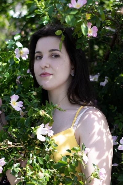 黄色のTシャツの魅力的な若いブルネットの女性。花でいっぱいの茂みの中で。コピースペース. — ストック写真